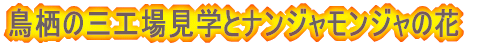 ̎OHꌩwƃiWW̉